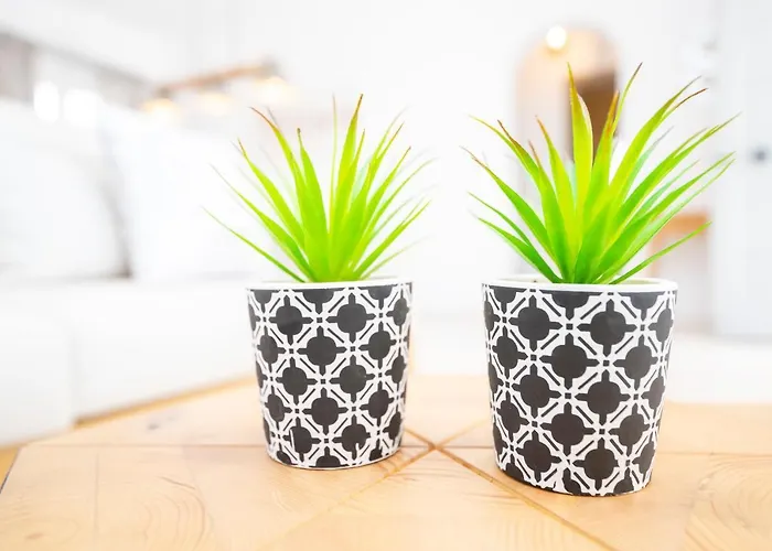 Salty Villas, Chrissipi *